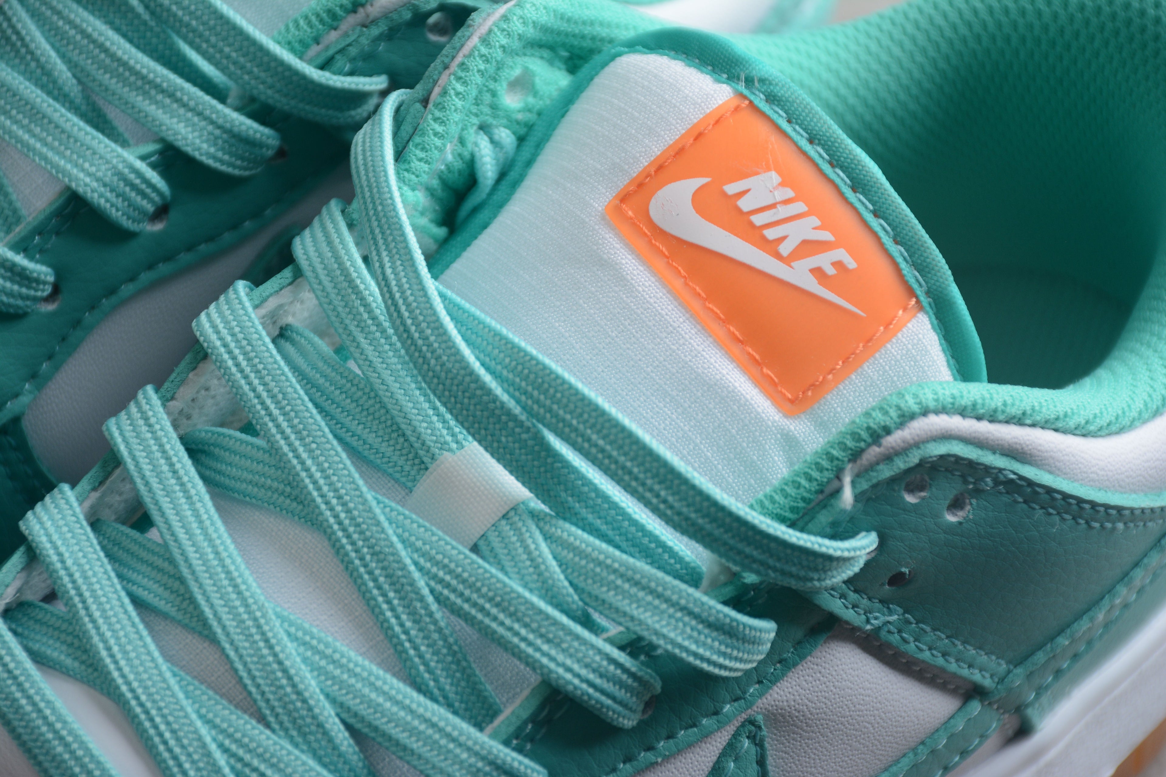Nike Dunk Low  SB Teal Zeal