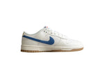 Nike Dunk Low SB White / Blue