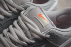 Nike Dunk Low SB Grey