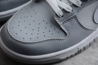 Nike Dunk Low SB Grey