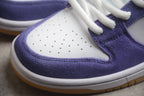 Nike Dunk Low SB Purple