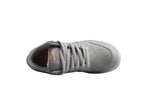 Nike Dunk Low SB Grey