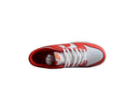 Nike Dunk Low Pro SB Red