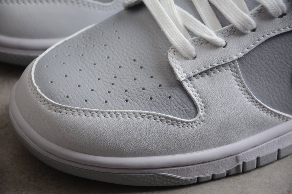 Nike Dunk Low SB Grey