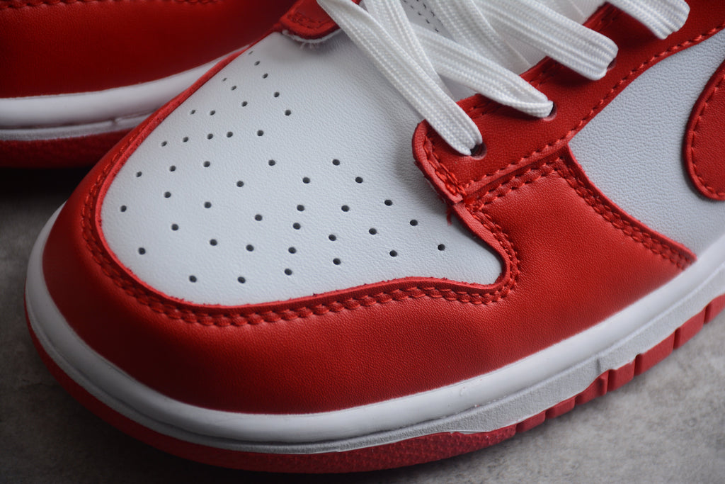 Nike Dunk Low Pro SB Red
