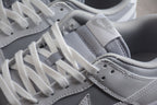 Nike Dunk Low SB Grey