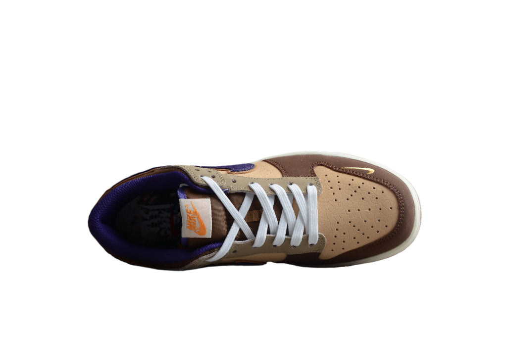 Nike Dunk Low  SB Brown / Blue