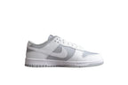 Nike Dunk Low SB Grey
