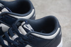 Nike Dunk Low SB Black / White