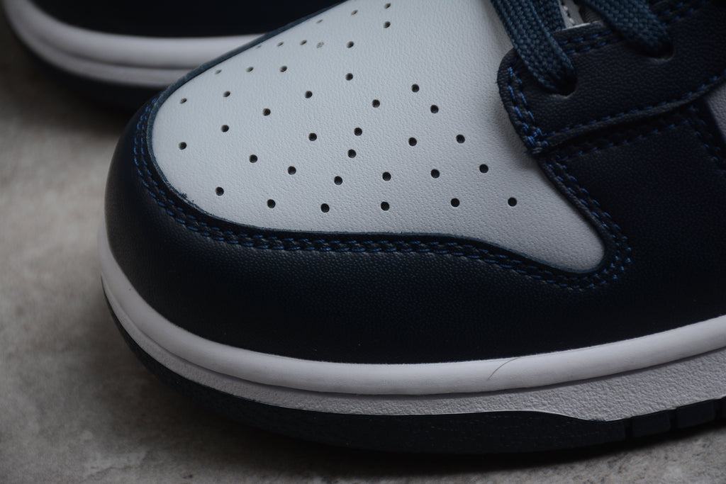 Nike Dunk Low SB Wolf Grey / Dark Obsidian
