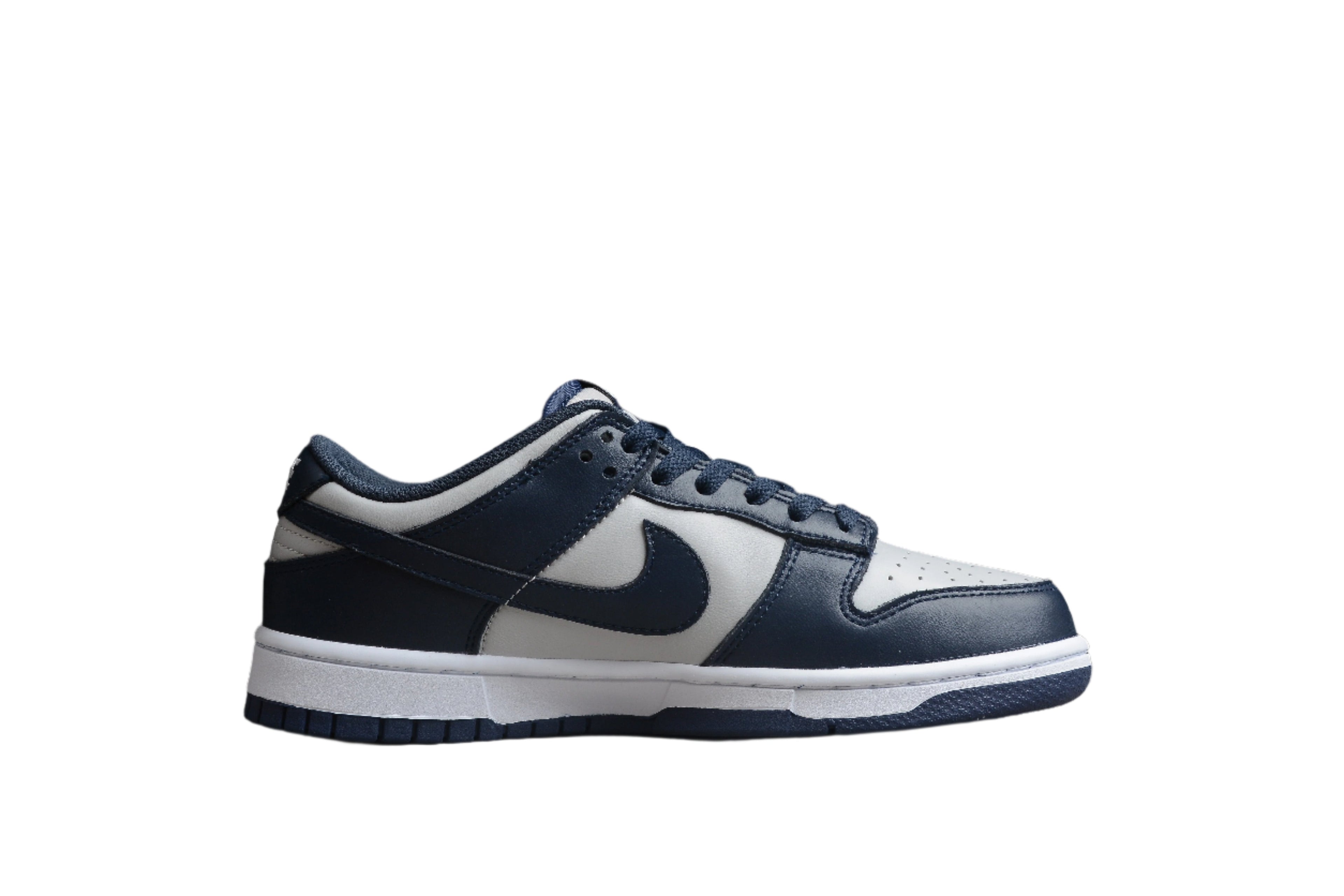 Nike Dunk Low SB Black / White