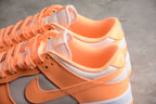 Nike Dunk Low SB Neon Orange