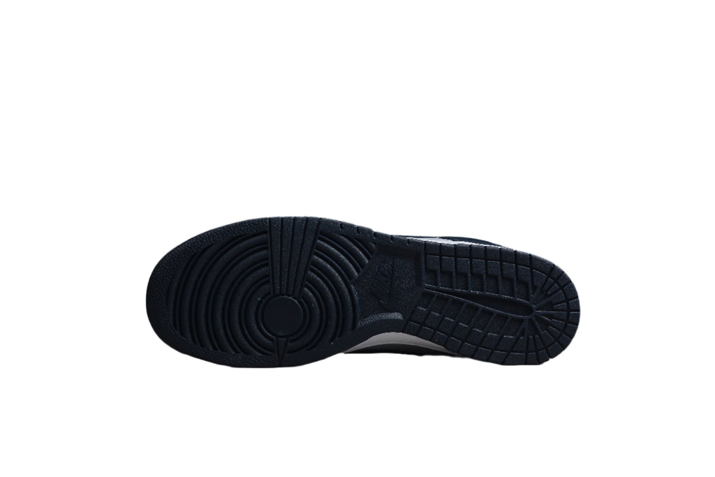 Nike Dunk Low SB Wolf Grey / Dark Obsidian