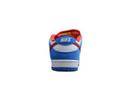 Nike Dunk Low SB Blue / Red