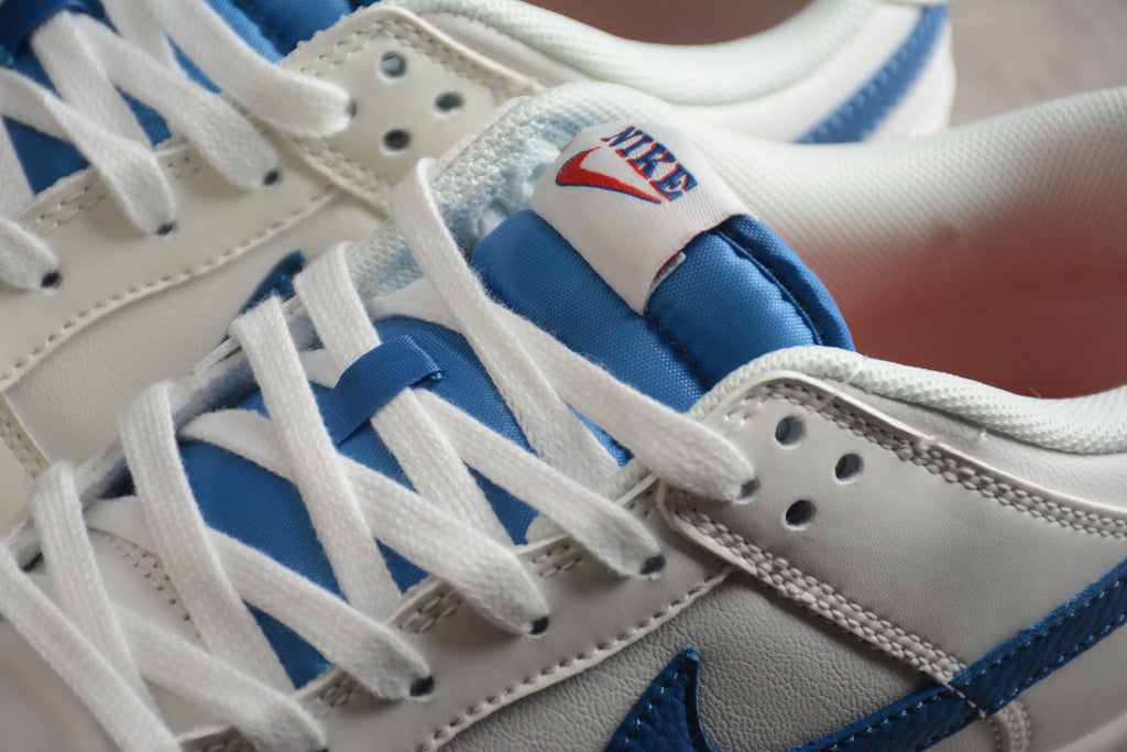 Nike Dunk Low SB White / Blue