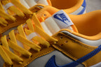 Nike Dunk Low SB Blue / Yellow