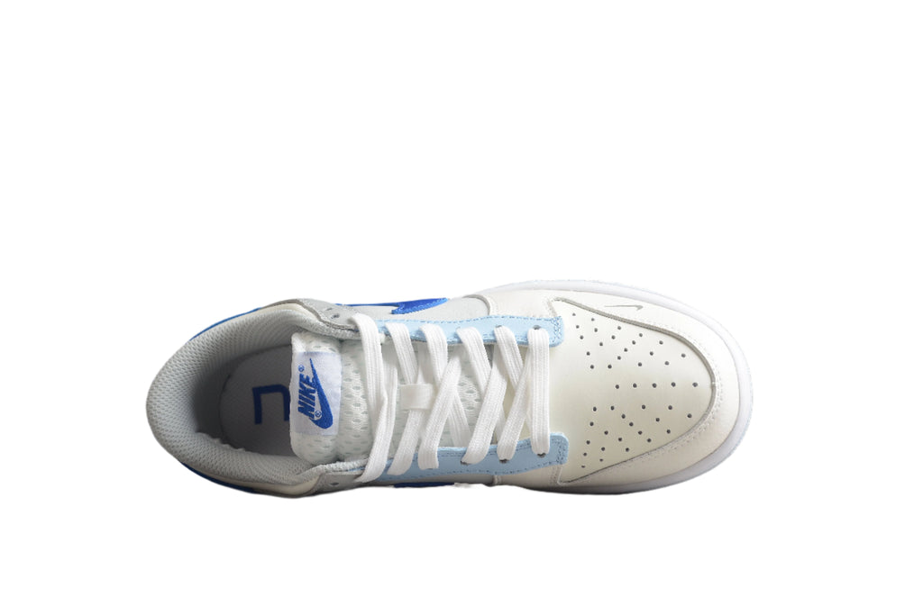 Nike Dunk Low SB Grey / Blue