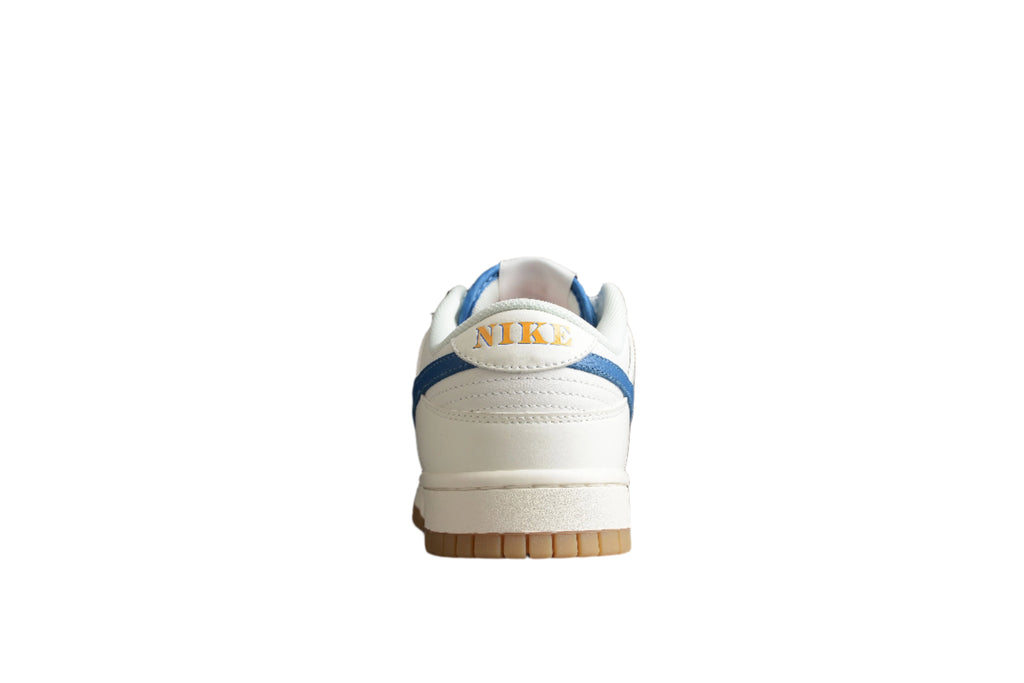 Nike Dunk Low SB White / Blue