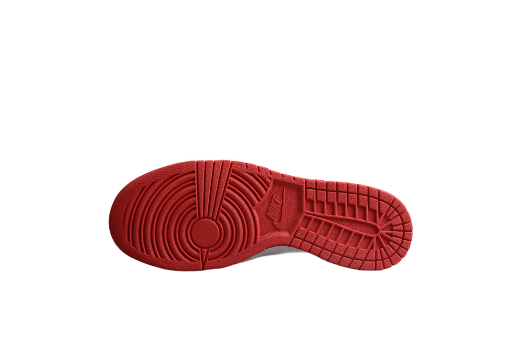 Nike Dunk Low Pro SB Red