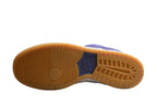 Nike Dunk Low SB Purple