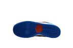 Nike Dunk Low SB Blue / Red