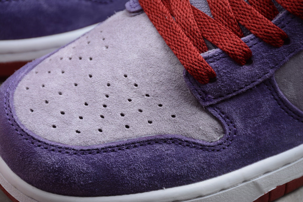 Nike Dunk Low SB Purple / Red / White