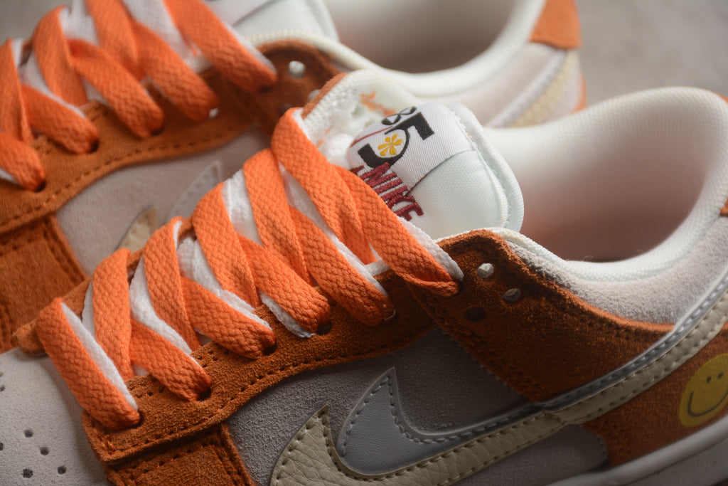 Nike Dunk Low Pro SB Orange